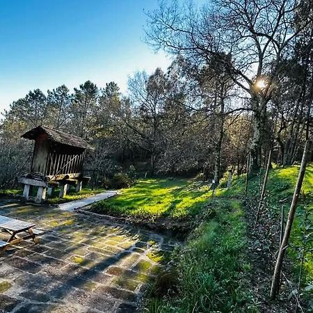 Eira Das Carvalhas Penafiel Zewnętrze zdjęcie