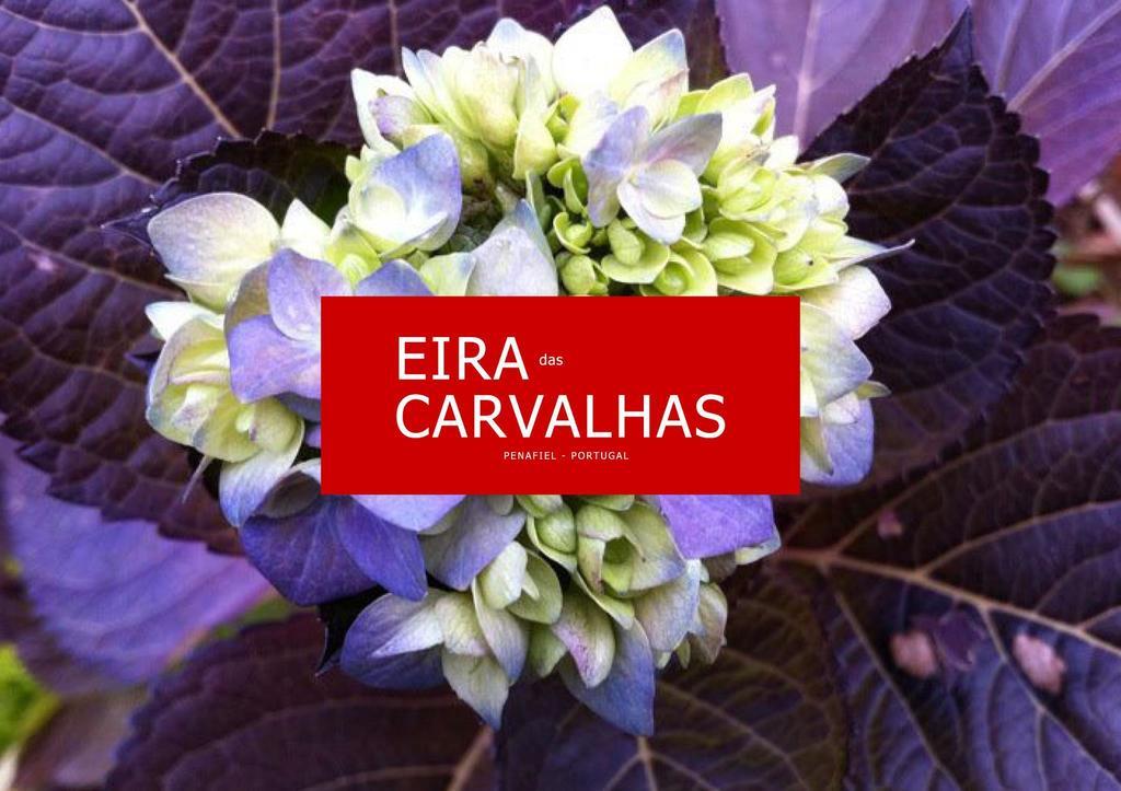 Eira Das Carvalhas Penafiel Pokój zdjęcie
