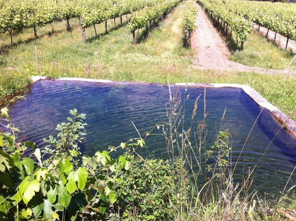 Eira Das Carvalhas Penafiel Pokój zdjęcie